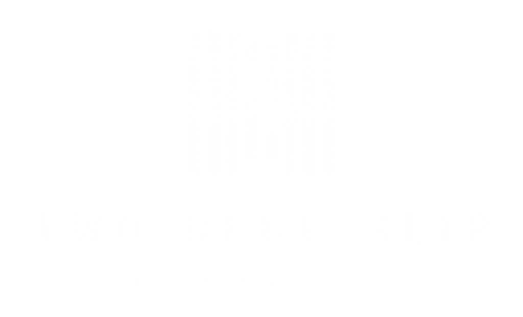 2 Blue Slip logo